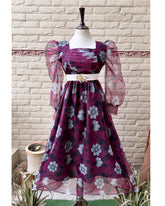 Organza stuff flair frock