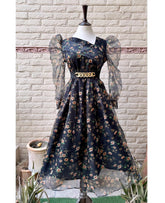 Elegant organza stuff frock